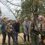 Virginische Zaubernuss