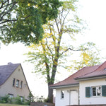 Chauffeurshaus der Estdorff-Villa mit echter Akazie. Foto: Bouché