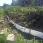 Seltene Tierarten, wie Zauneidechse, Ringelnatter und Blindschleiche werden aufgenommen und in die Döberitzer Heide umgesiedelt. (Foto: Fides Mahrla)