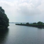 Blick von der Wublitzbrücke zum Naturschutzgebiet Wolfsbruch (Foto: Fides Mahrla)