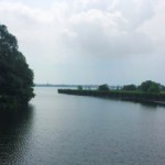 Blick von der Wublitzbrücke zum Naturschutzgebiet Wolfsbruch (Foto: Fides Mahrla)