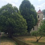 Kulturstopp in Nattwerder (Foto: Fides Mahrla)