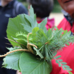 Schönes Andenken: kleine Blättersammlung für die Vase.