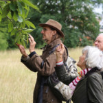 Hier kann bald gekostet werden: Die Esskastanie.