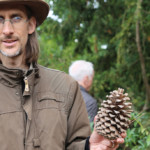 XXL-Adventsschmuck: Claas Fischer mit Zapfen der Jeffrey-Kiefer.