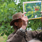 Schade, der Tulpenbaum ist schon verblüht.