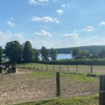 Pferdehof am Rotkehlchenweg mit Blick zum Krampnitzsee