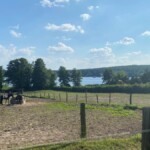 Pferdehof am Rotkehlchenweg mit Blick zum Krampnitzsee