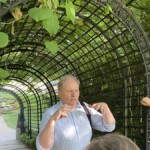 Sphingentreppe mit berankten Eisengitter-Treillage