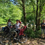 Start zur Rückfahrt vom Freilichtmuseum nach Potsdam