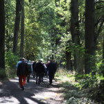 Wanderung durch den Wildpark Potsdam