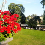 Blick von den Treppen zum Winzerberg auf unsere Festgesellschaft.