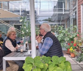 Sonnenterrasse im Adlershofer Kamee caffé